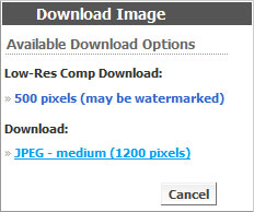 1200 px comp downloads