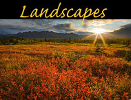 alaska landscape photos
