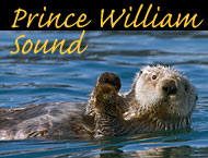 prince william sound photos