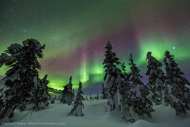 Starry, starry night, paint your palette . . . - AlaskaPhotoGraphics