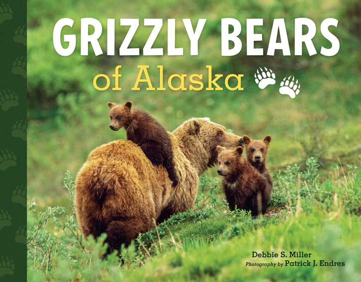 Cover for children's book on grizzly bears - AlaskaPhotoGraphics