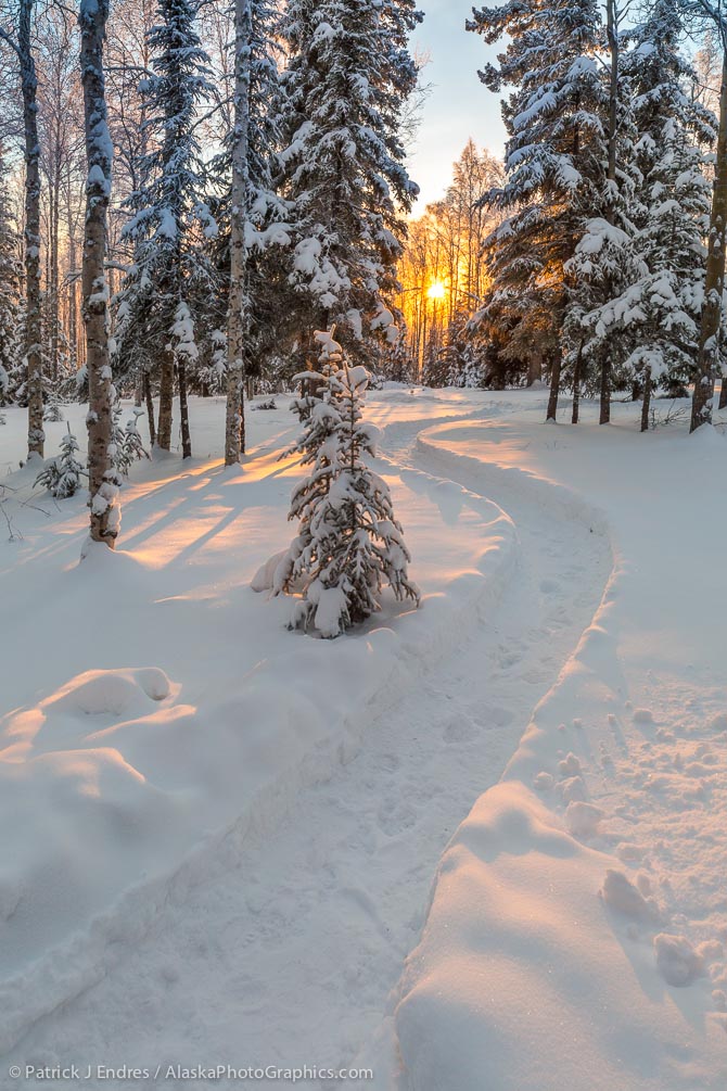 Winter pathway - AlaskaPhotoGraphics