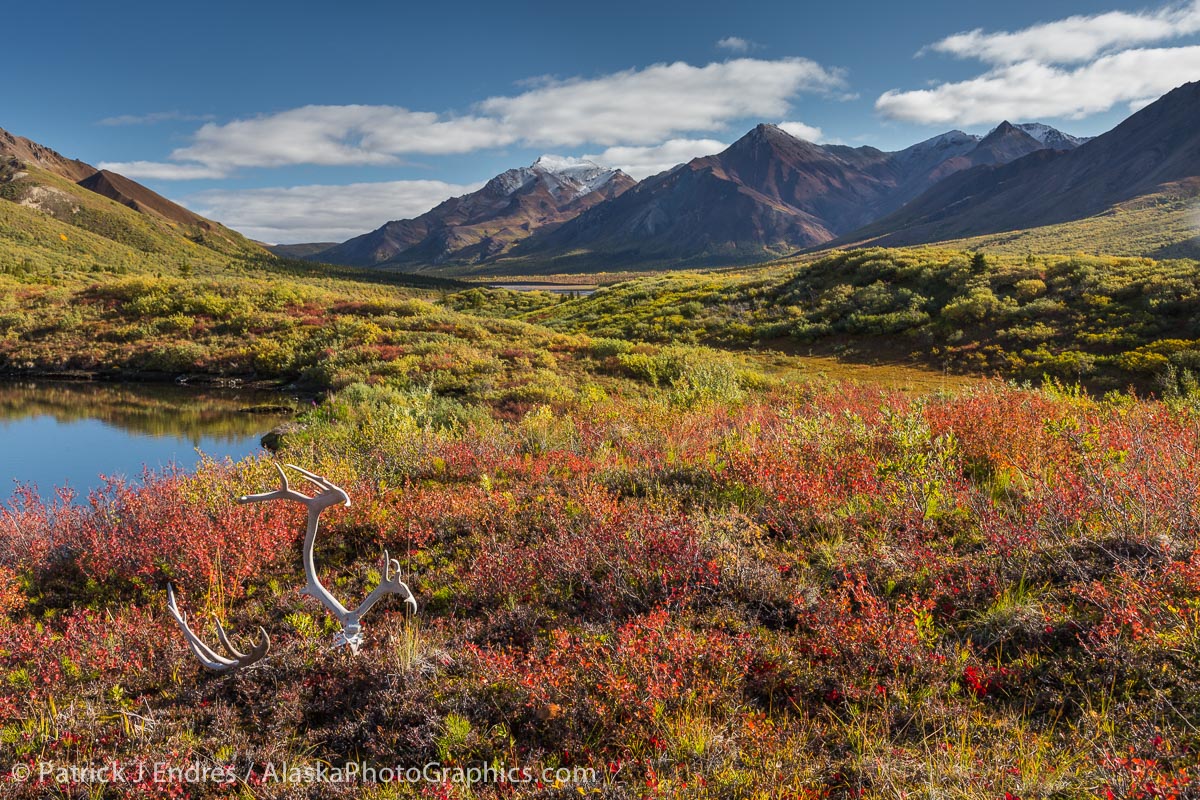 Explore Alaska with professional Alaska photographer Patrick Endres