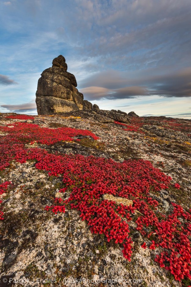 Bering Land Bridge Gallery AlaskaPhotoGraphics   26010032 626x940 