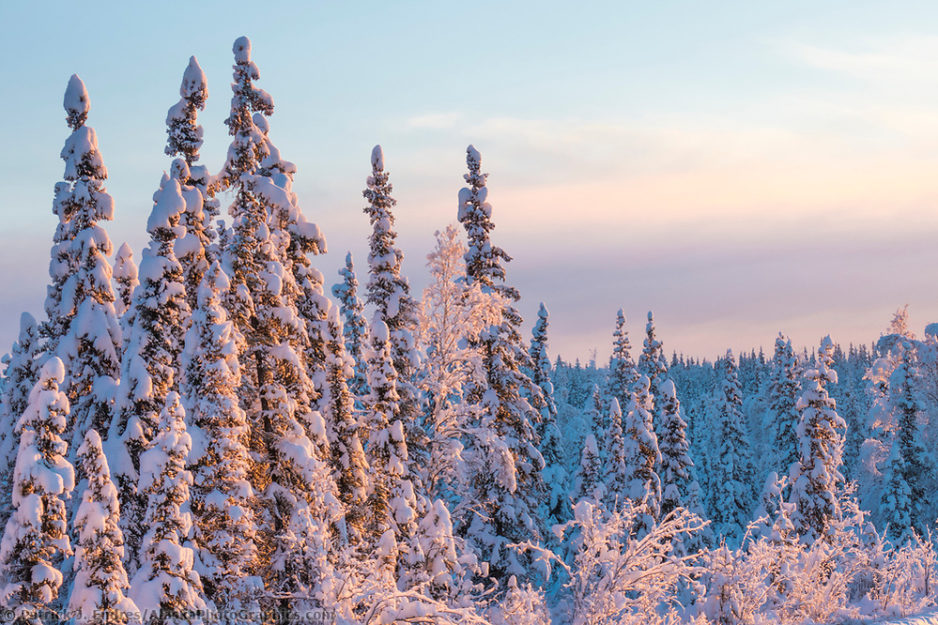 Alaska Photographer Patrick Endres