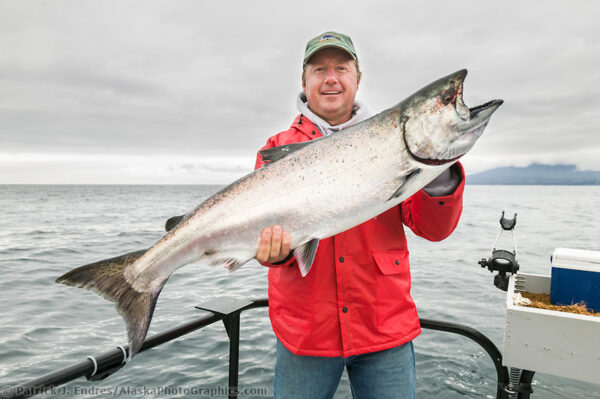 Alaska salmon photos include the pink, red and king salmon.